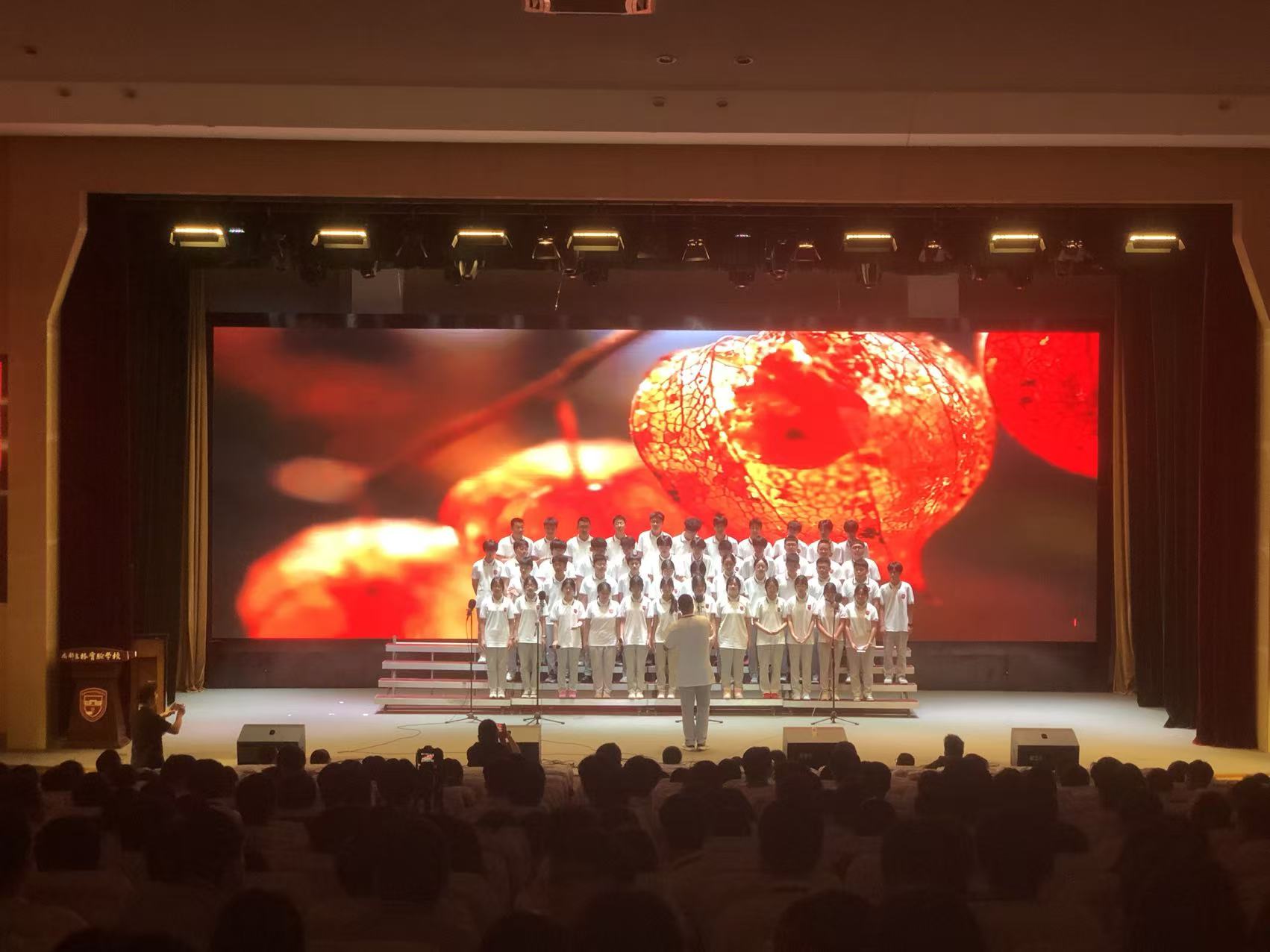 微信图片_20260515111917_97_5.jpg