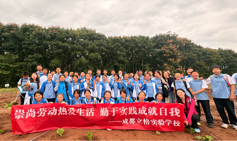 图片4_副本.png